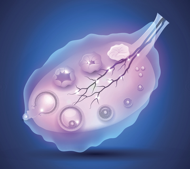 鹤岗三代试管比较好的医院排名揭晓，附上费用和成功率